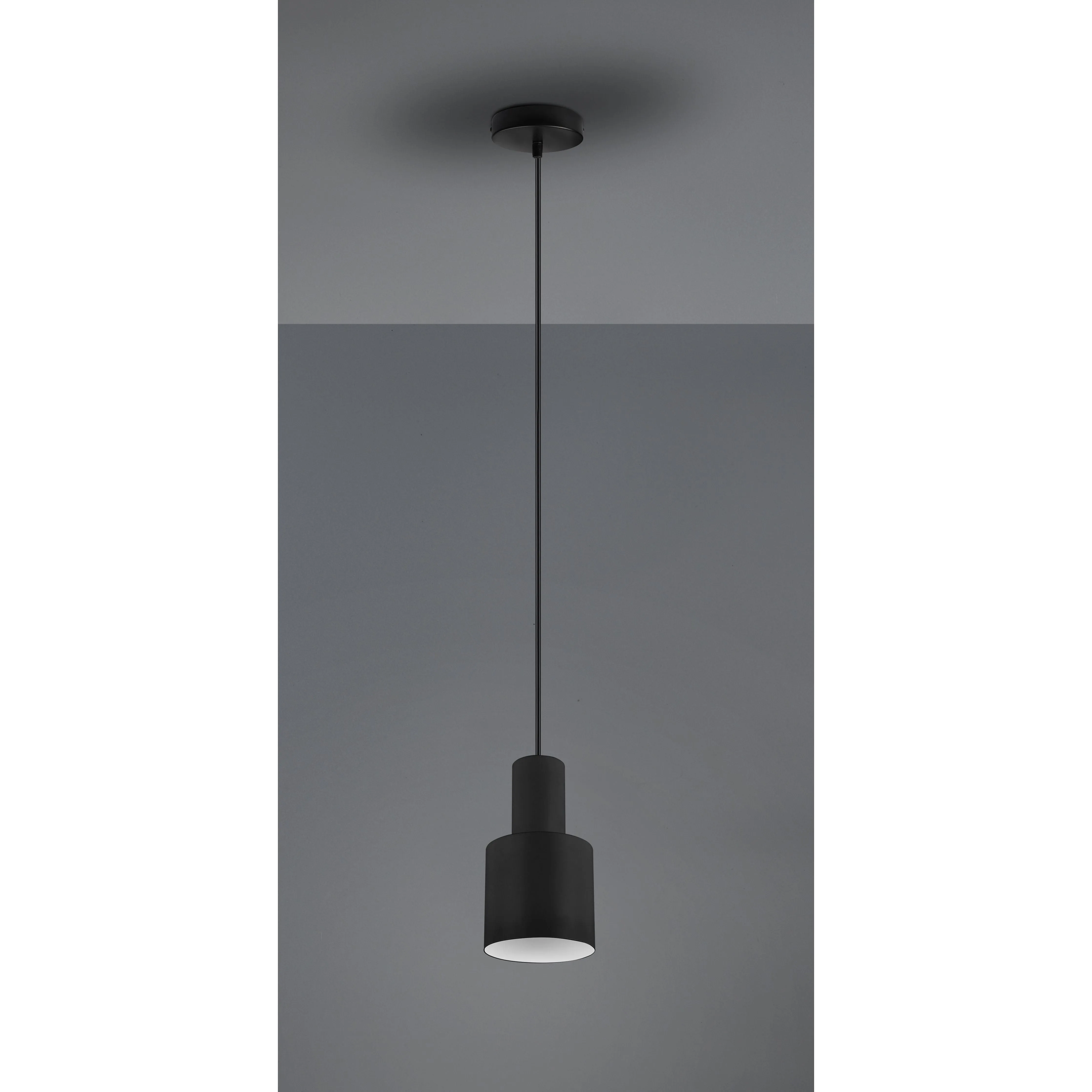 Agudo 1-Light Pendant